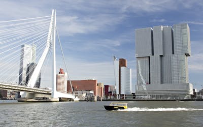 Rondleiding door Rotterdam met Markthal, Kubuswoningen, watertaxi en rooftop views (stadswandeling)